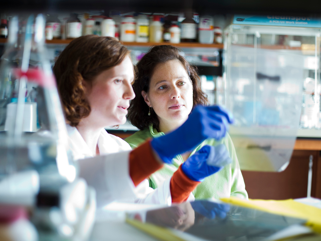 Women working in lab