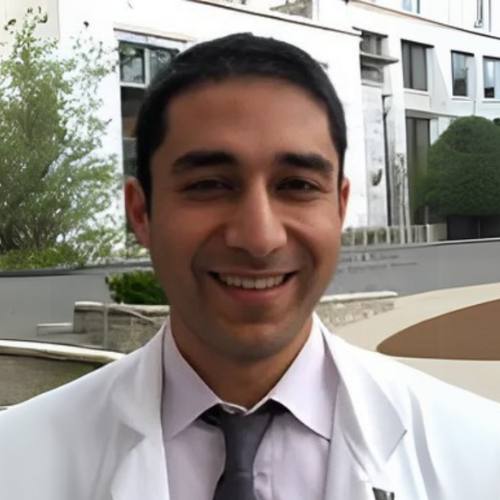 Ali Kashkouli headshot