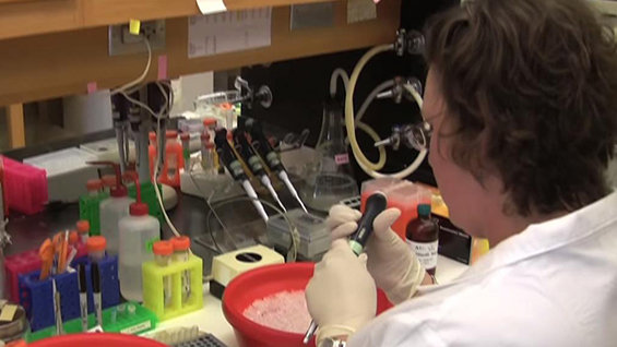 Researcher working in a lab