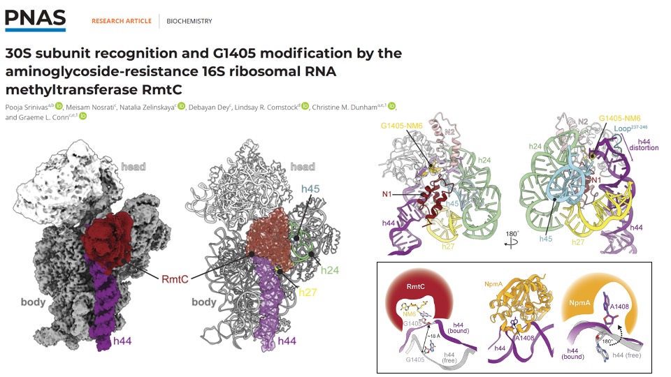 Conn Lab Publication in PNAS 2023