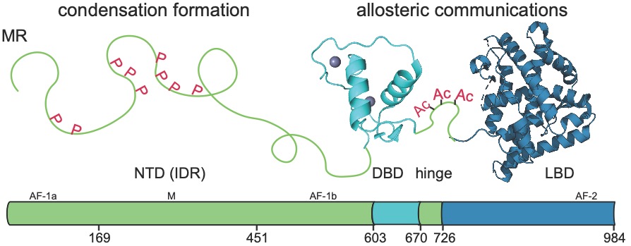 Research figure Liu lab