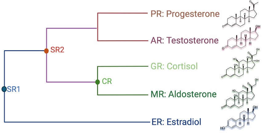 Liu lab research figure