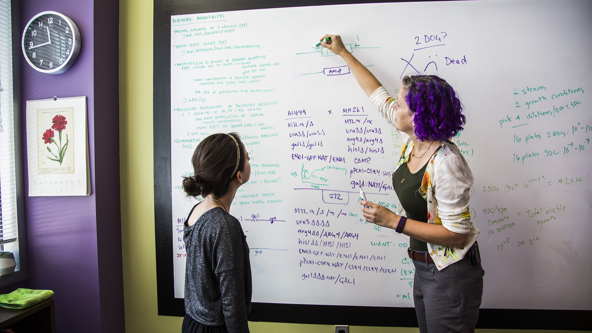 two women at board