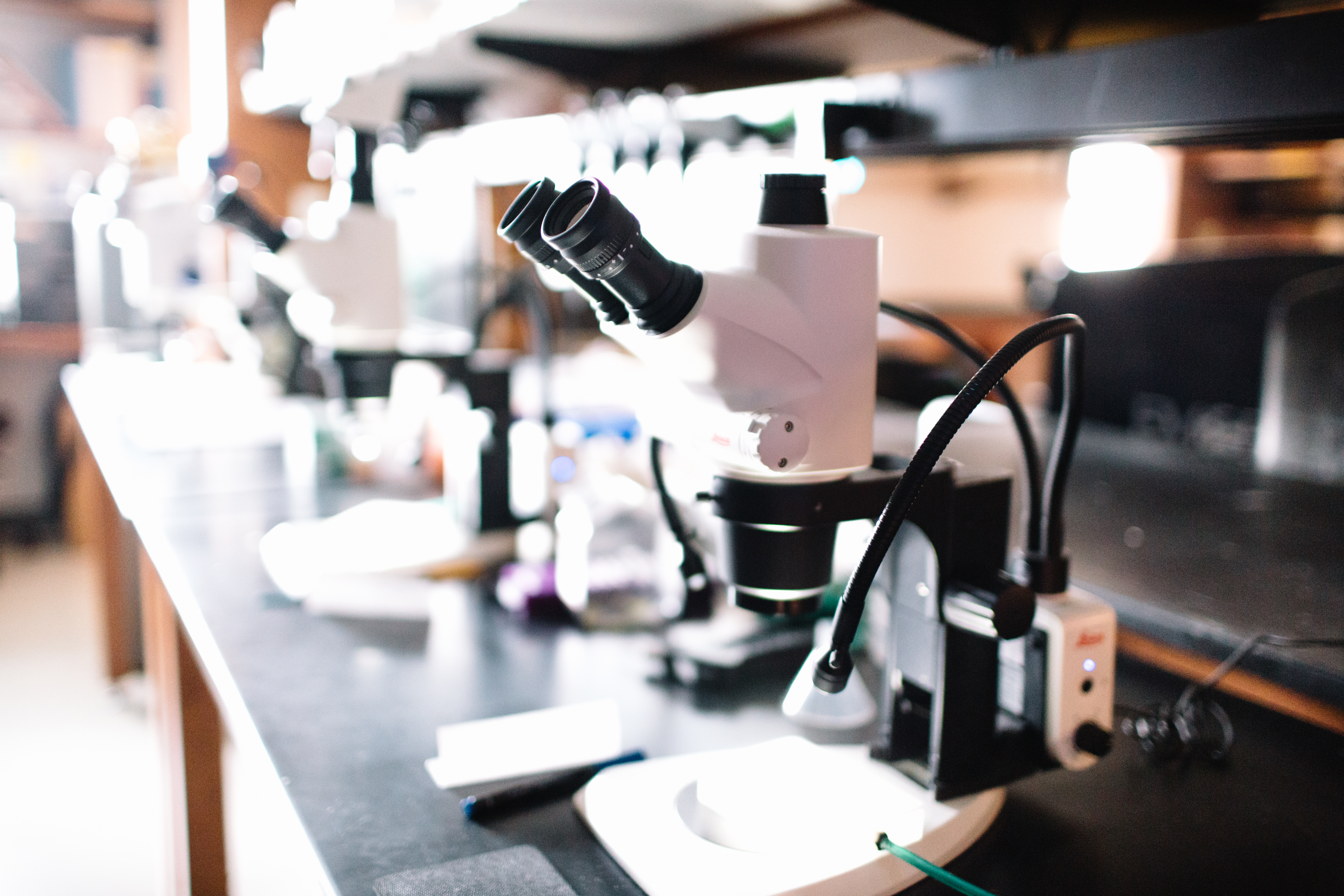 Row of Microscopes