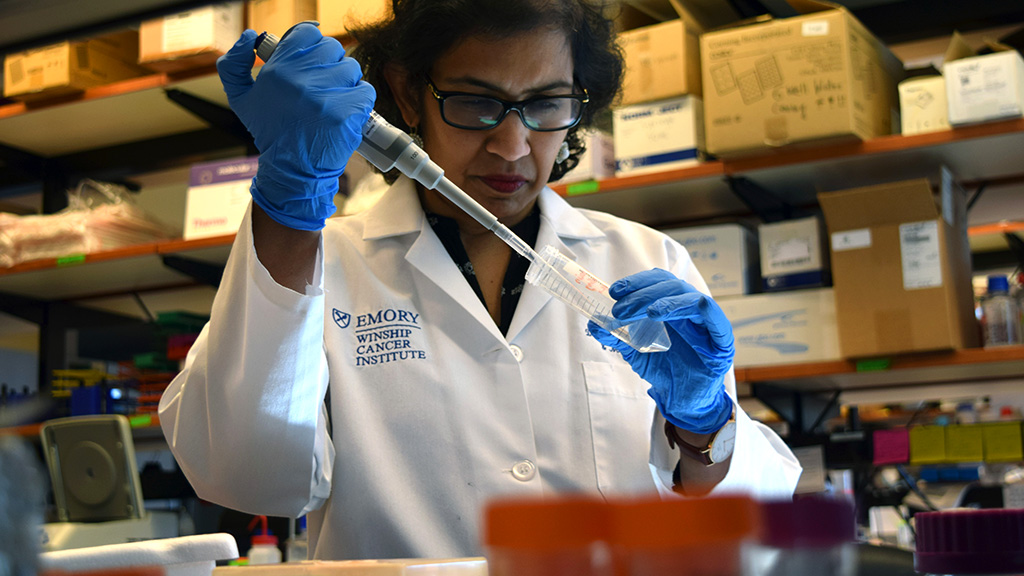 Dr. Shanmugam working in the lab.