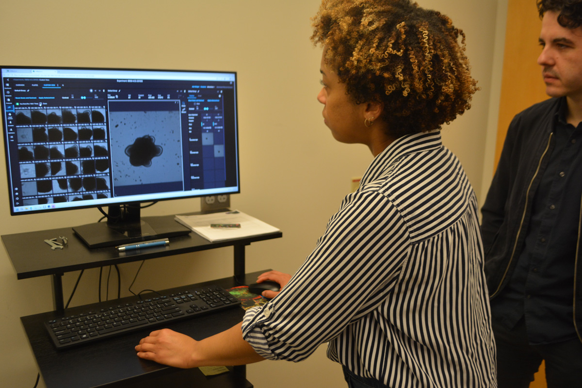  CellXpress.ai automated cell culture system.