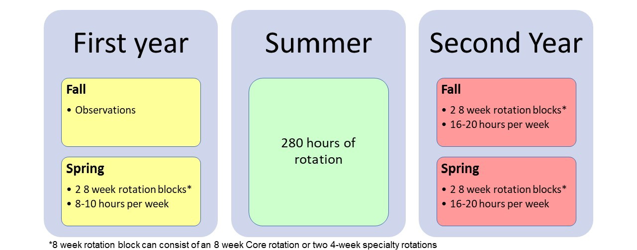 Genetic Counseling clinical rotation schedule