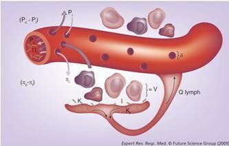 Fluid Management