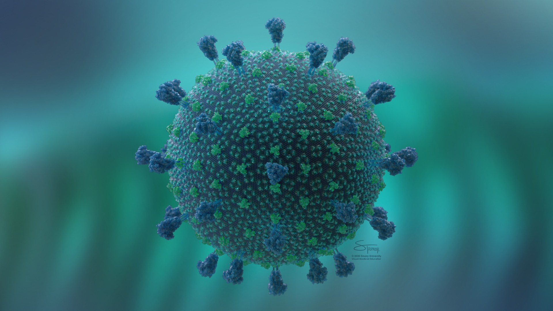 CoronaVirus 