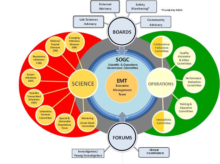 bubble diagram of organizational structure