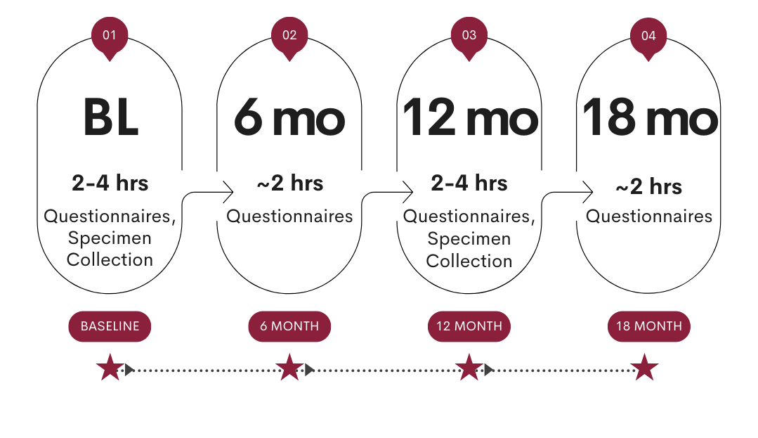 star-visit-timeline