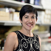 Vivien Sheehan, MD, PhD