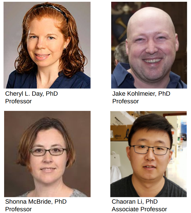 four headshots of people