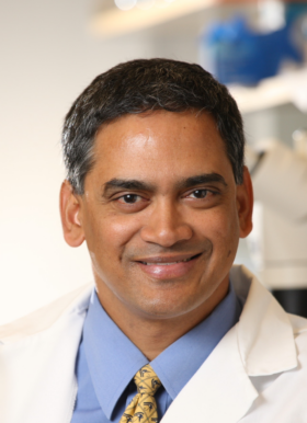  Kodi Ravichandran, PhD