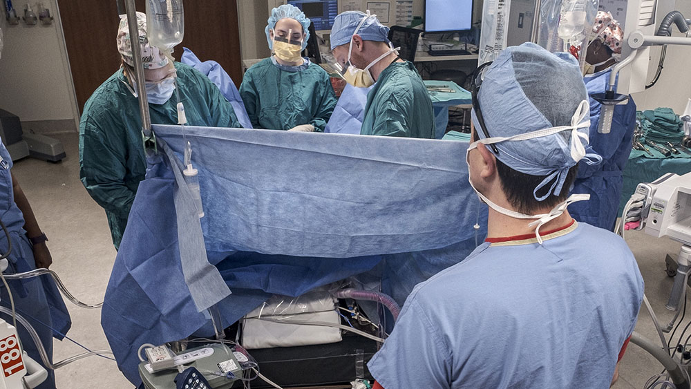 Surgical team in the operating room.