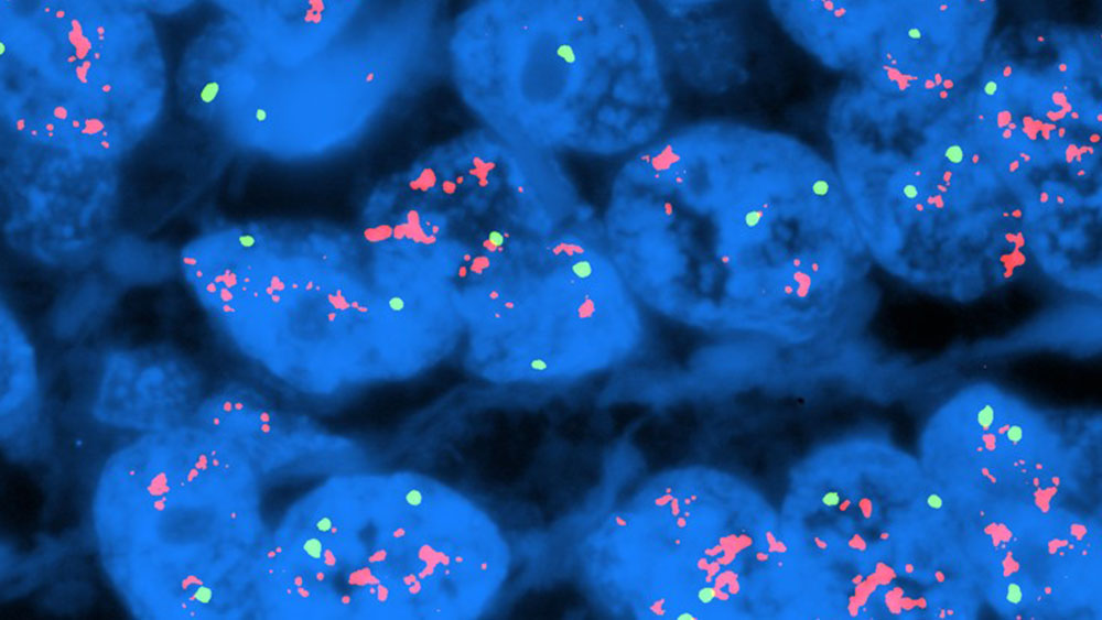 Molecular Genetic Pathology