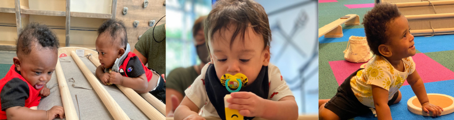 Baby Brain Optimization Project
