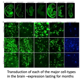 Neurodegenerative Disease