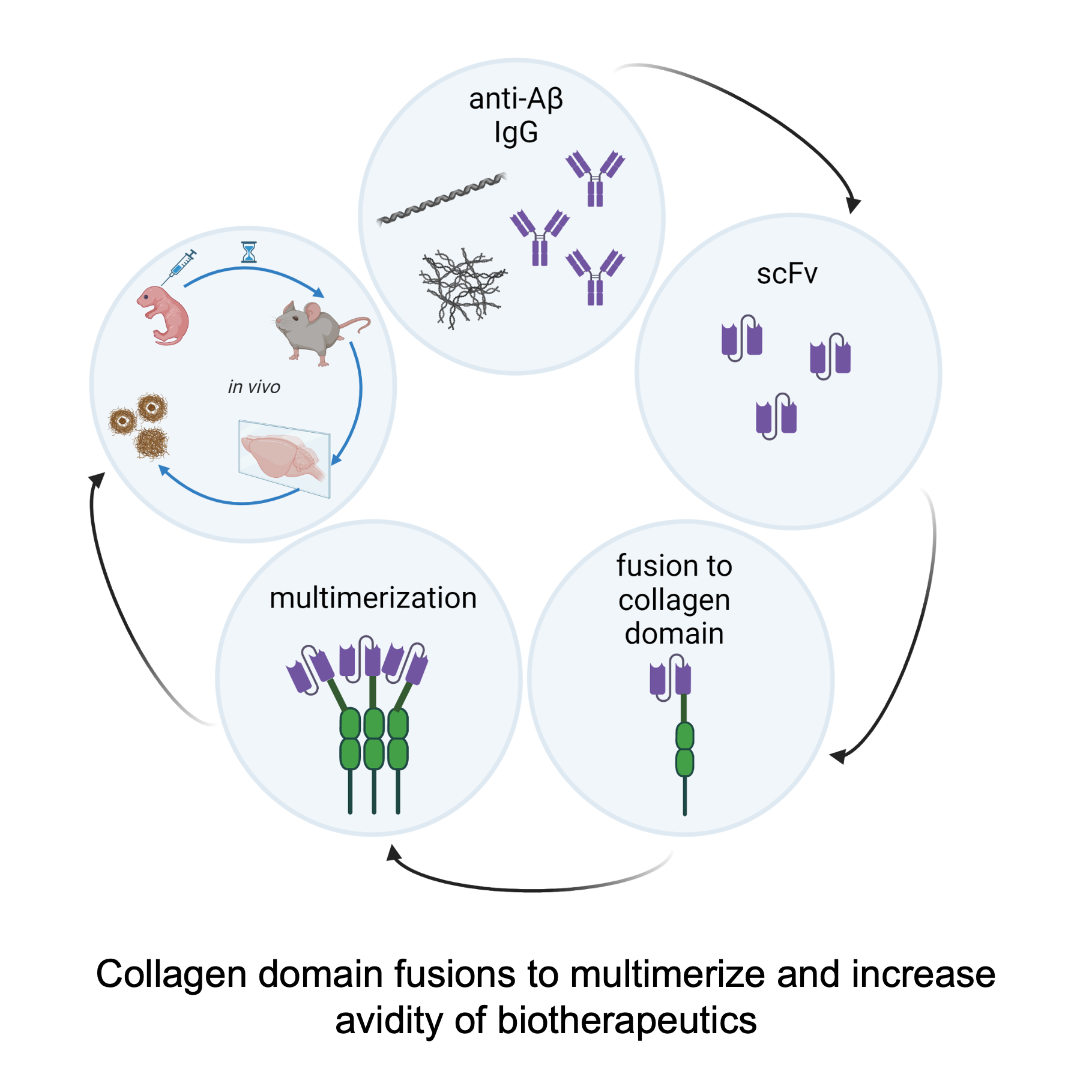 Biotherapeutics to Alter Immunoproteostasis in Neurodegenerative Proteinopathies 