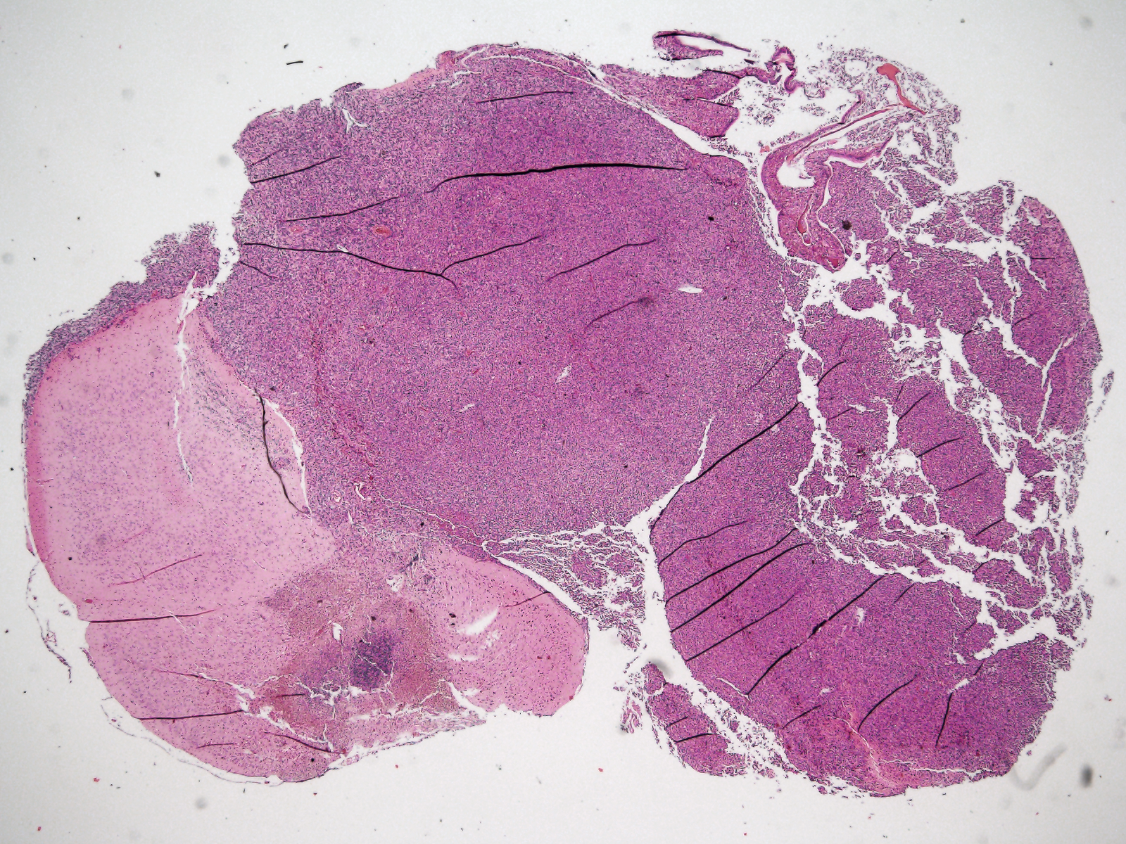 Read Lab Research Image