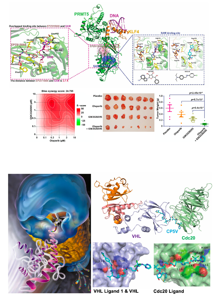 Anti-Cancer Drug Development