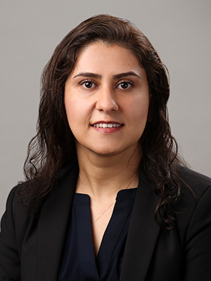 Elham Abouei, PhD