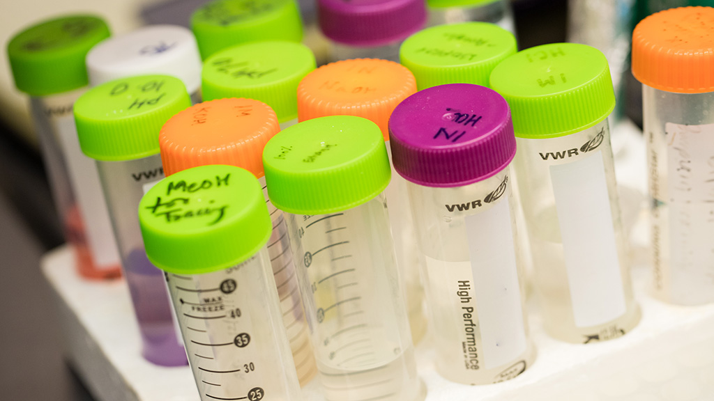 Vials on a lab bench.