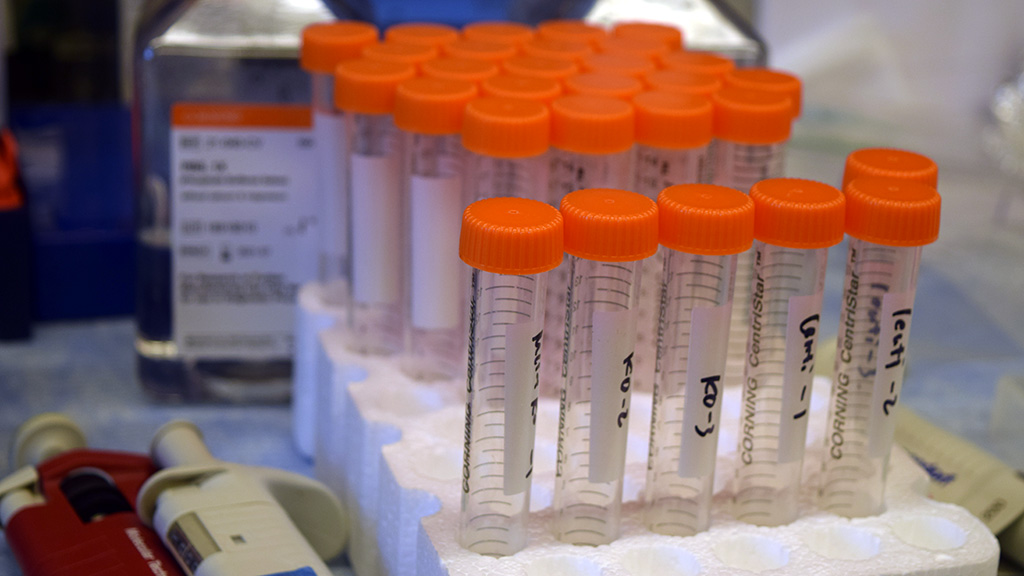 Laboratory tubes prepped and labeled for use in experiments.