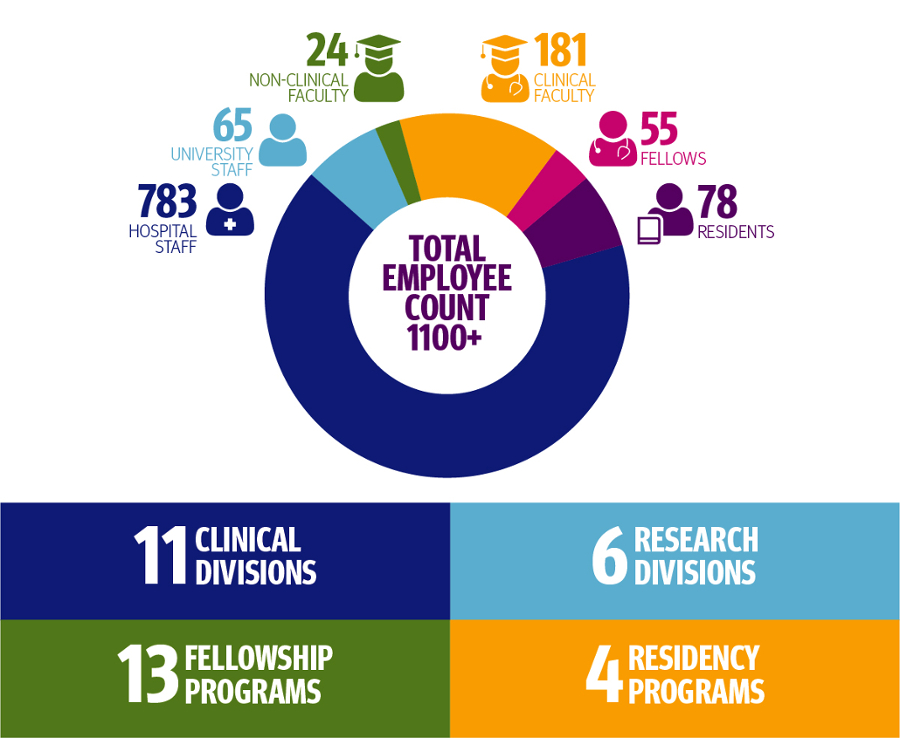 graphic showing 783 hospital staff 65 university staff 24 non-clinical faculty 181 clinical faculty 55 fellows 78 residents 11 clinical divisions 13 fellowship and 4 residency programs