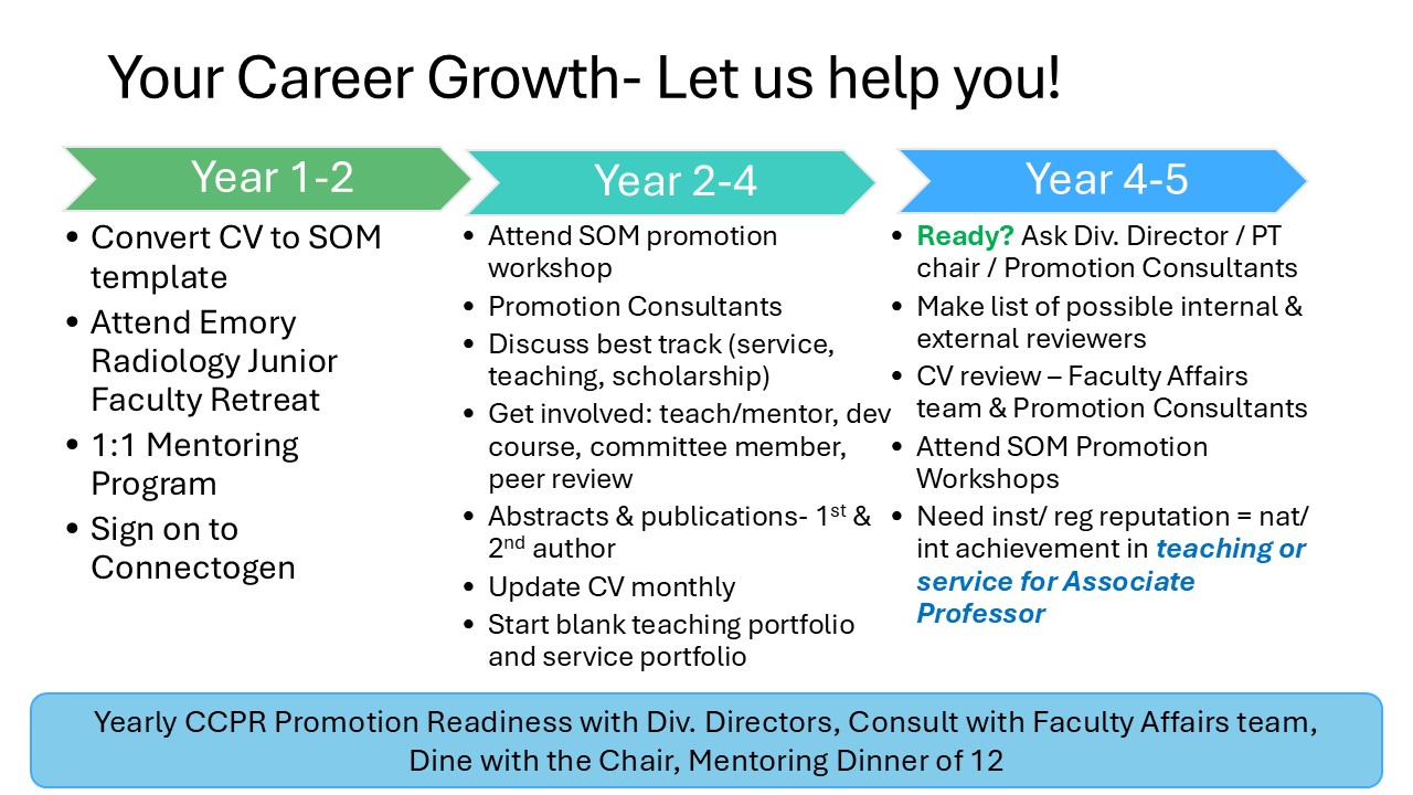 graphic showing what happens in a faculty's career in three stages
