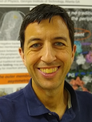 headshot of man