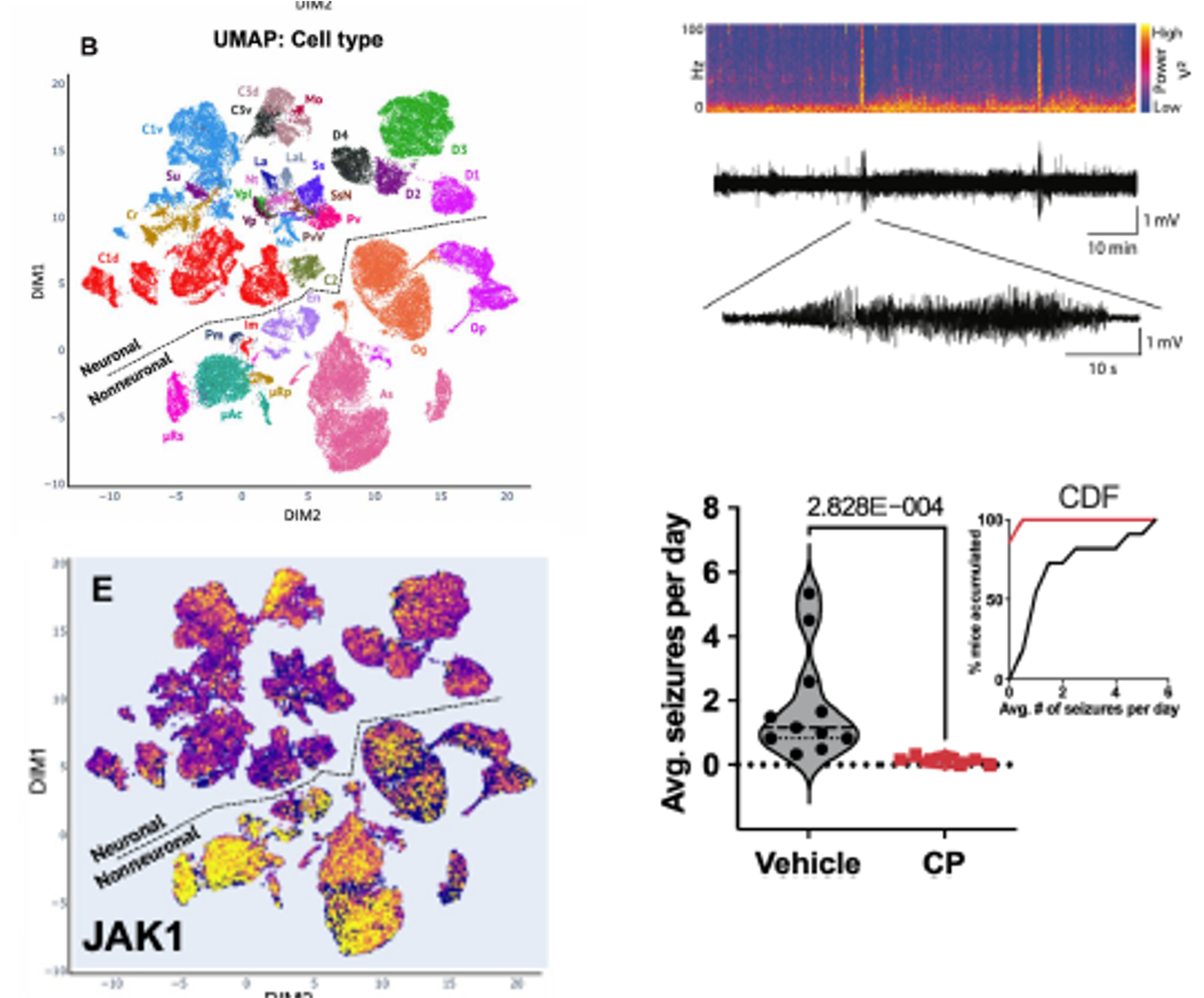 composite of 4 scientific images with graphs and colorful images