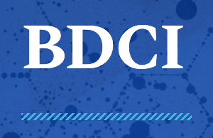 BDCI