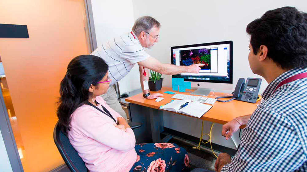 Dr. Paul Tso and his clinical and research team.
