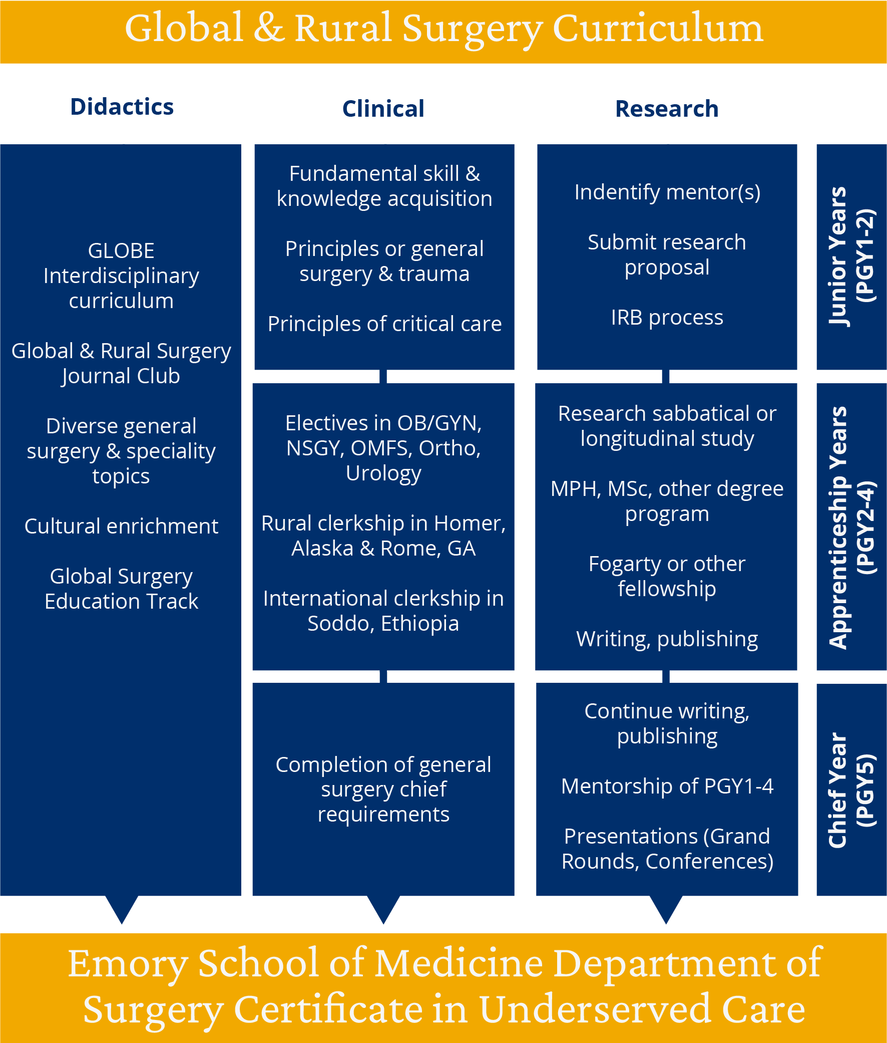 Global Surgery Track Curriculum