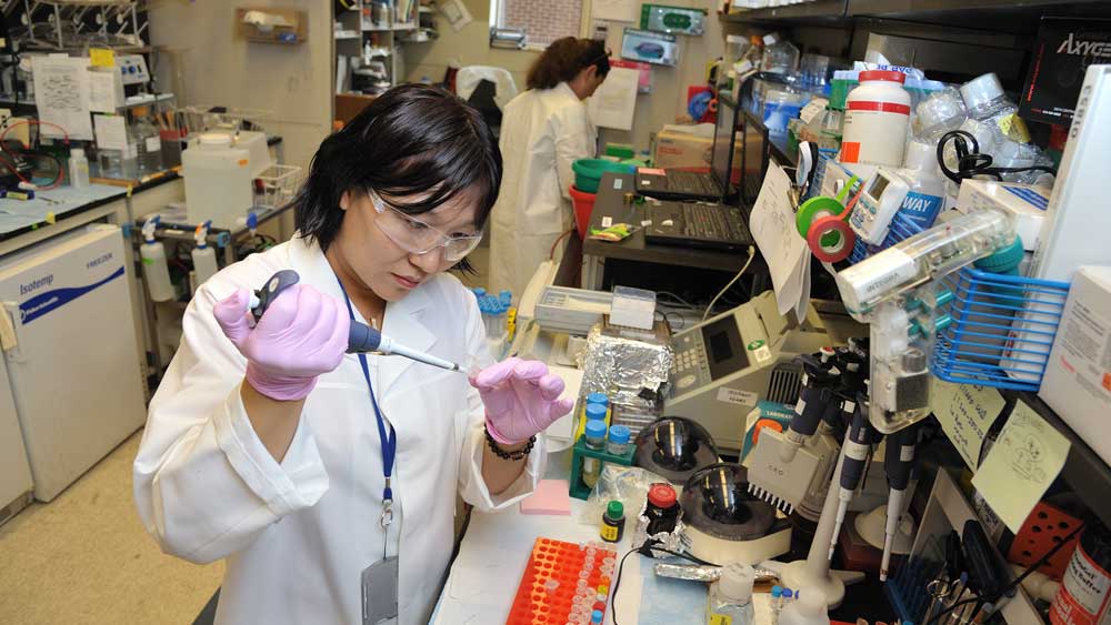 Research technicians working in the lab.