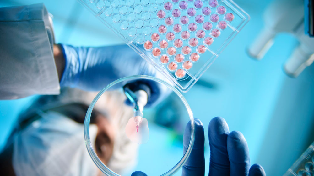 Research in the lab.