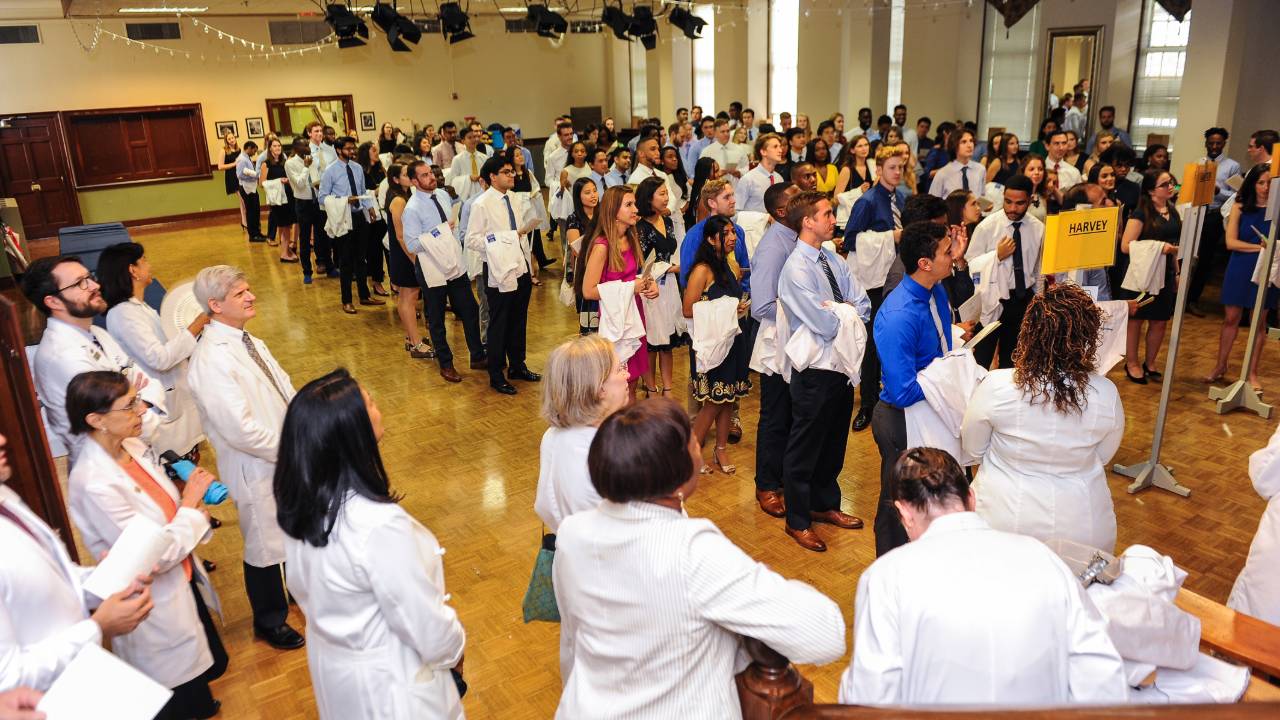 Large group of people divided in rows by society assignment