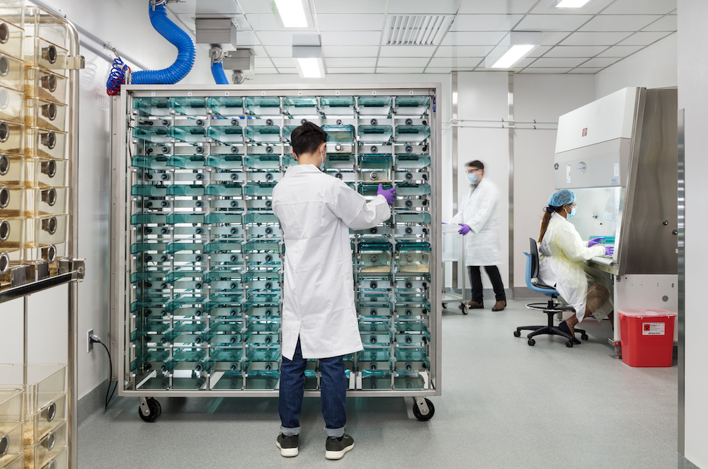 A scientist uses equipment in the HSRB