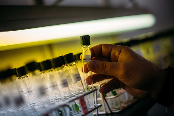 A hand holds a test tube for use in bioprocessing